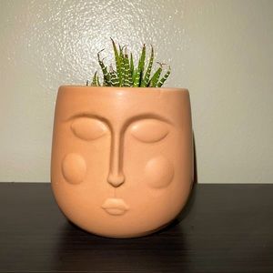 Planter Face Color: Tan